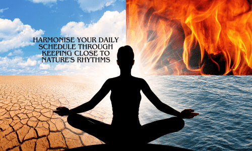 Harmonise Your Daily Schedule Photos (5)
