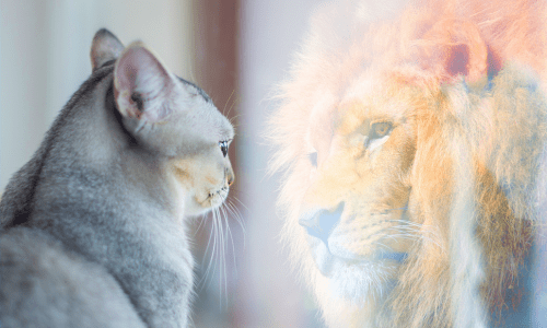Self Image Empowerment Photos (6)
