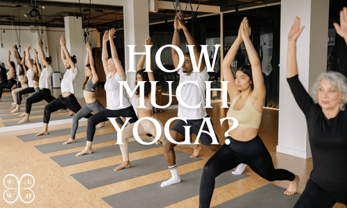 How Much Yoga Photos (11)