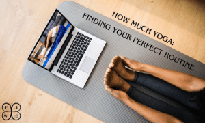 How Much Yoga Photos (8)